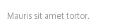 Mauris sit amet tortor.