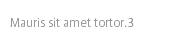 Mauris sit amet tortor.3