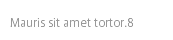 Mauris sit amet tortor.8